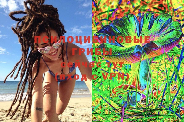 jwh Вязьма