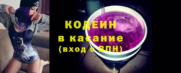 сатива Вяземский
