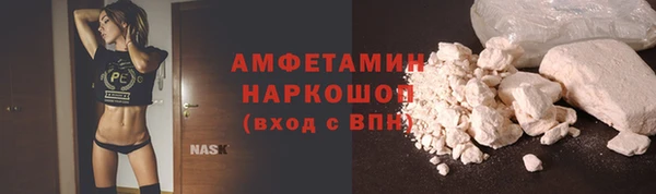 сатива Вяземский