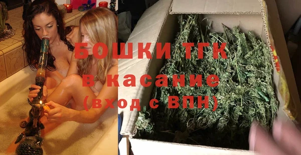 сатива Вяземский