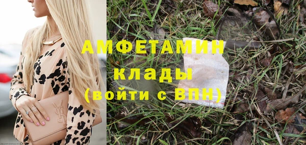сатива Вяземский