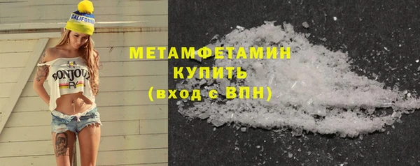 сатива Вяземский