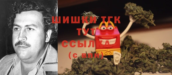 сатива Вяземский