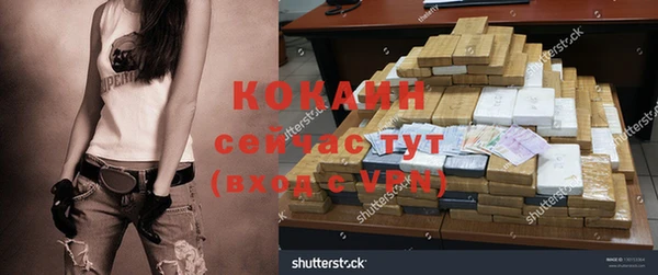 сатива Вяземский